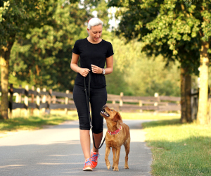 Hundeschule_MATA_Einzeltraining Hunde-Einzeltraining für Verl, Schloß Holte- Stukenbrock, Hövelhof, Oerlinghausen, Bielefeld und Umgebung