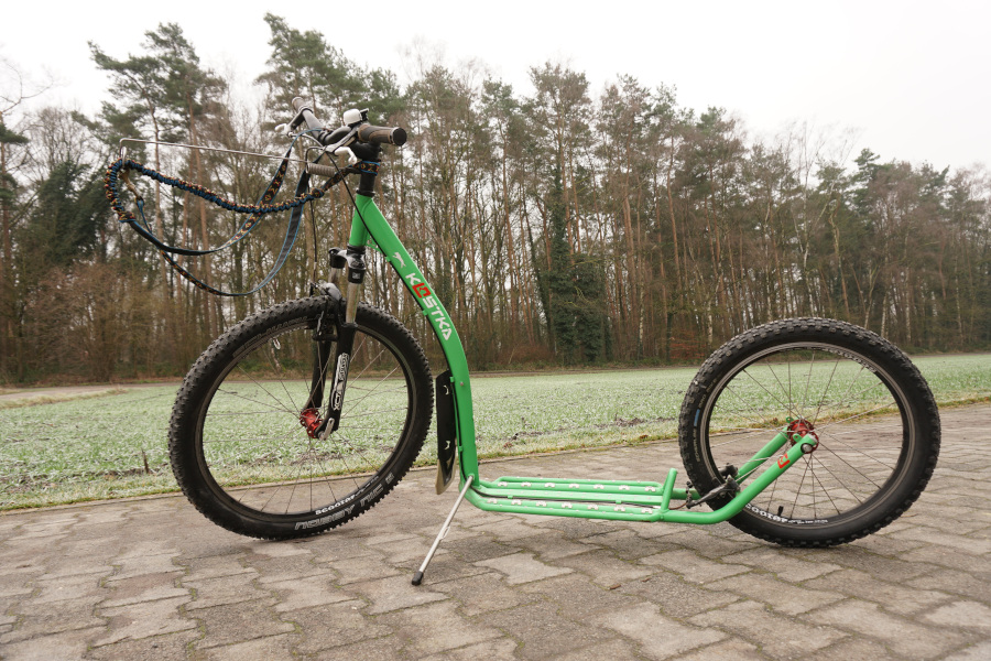 Dogscooter: Technisch im Januar 2020 durch eine Fahrradwerkstatt kontrolliert und in Stand gebracht worden