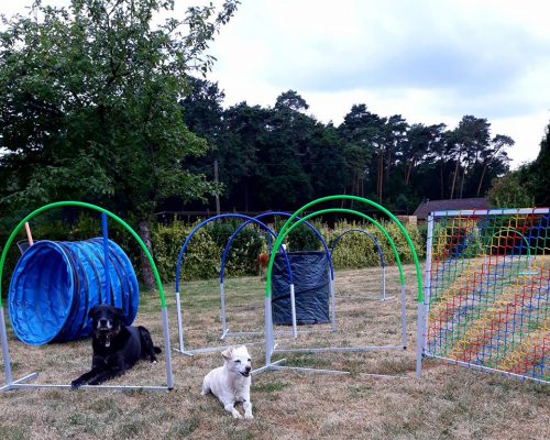 Hoopers in der Hundeschule MATA